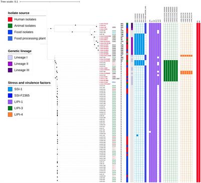 Listeria monocytogenes, a silent foodborne pathogen in Ecuador